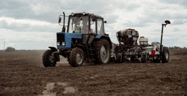 Аграрії зменшать посіви озимини через високу вартість логістики