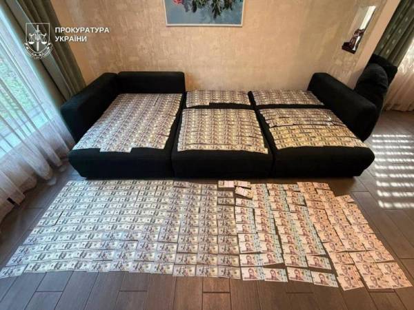 Обшуки виявили у столиці кота та 300 тисяч доларів під час розслідування справи невролога 7