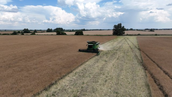 Агробізнес підняв заробітну плату на 10-20%, але нестача працівників зростає, – Agrohub