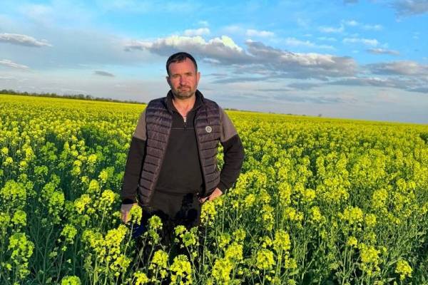 Збереження вологи для ріпаку: аграрії Миколаївщини впроваджують технології мінімального обробітку
