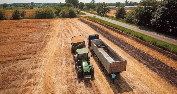 Cygnet Agrocompany спрогнозувала структуру посівів 2027 року та врожайність цьогоріч