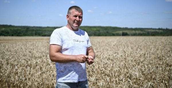 Через небезпеку обстрілів аграрії прикордонних областей уникають зберігання врожаю — КУРКУЛЬ