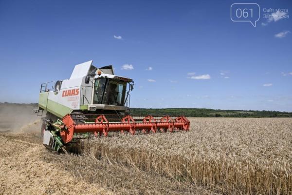 Через небезпеку обстрілів аграрії прикордонних областей уникають зберігання врожаю — КУРКУЛЬ 10