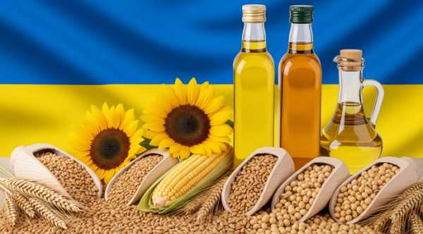 Український аграрний експорт у липні знизився на 23% 7 Український аграрний експорт у липні знизився на 23% 7