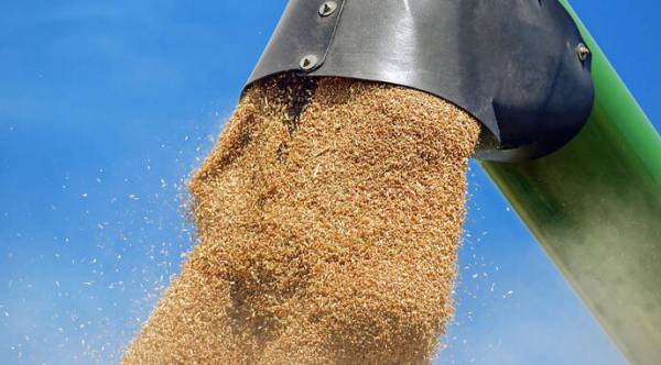 Україна експортувала 900 тисяч тонн агропродукції за серпень