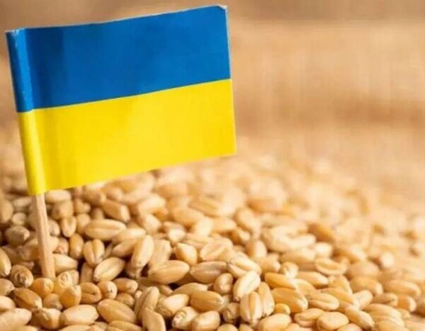 Україна повертає світові ринки зерна, відновлюючи експорт із портів Одеси