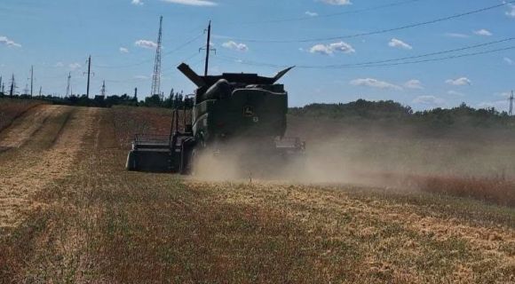 Золотистий льон: урожайність 1,5 т/га у 2026 році відкриває нові перспективи для півдня 8
