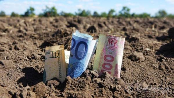 «Скіф» фінансує посівну до продажу врожаю: досвід аграріїв