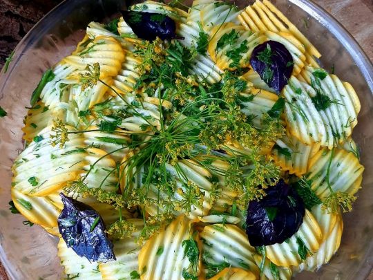 Мариновані кабачки: швидка закуска за пів години