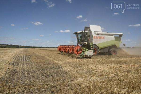 Через небезпеку обстрілів аграрії прикордонних областей уникають зберігання врожаю — КУРКУЛЬ 12
