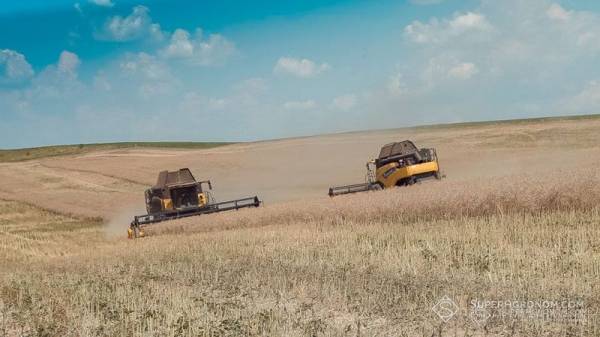 Жнива ранніх культур на Прикарпатті завершено: урожайність зернових сягнула 5,64 т/га