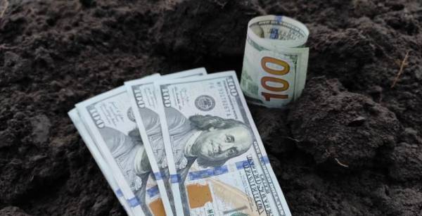 НБУ наростив вартість зерна як застави до 75%