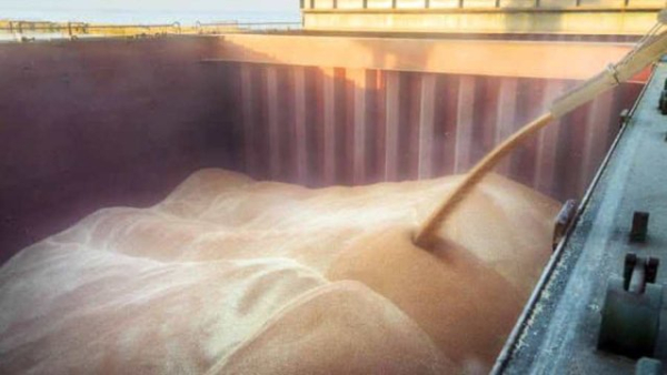 Уряд змінив найменші дозволені ціни для вивезення за кордон певної сільськогосподарської продукції.