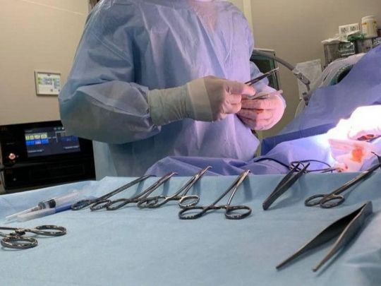Викрито схему торгівлі органами та тканинами померлих