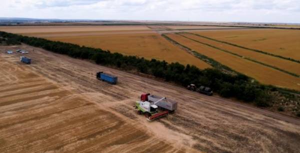Регіони України досягли врожайності зернових від 5,5 до 8 тонн з гектара 7
