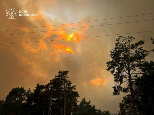 На Київщині гасять масштабну лісову пожежу залучивши авіацію та рятувальників з інших областей
