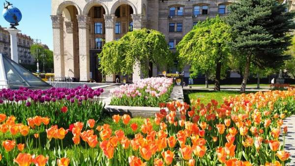 Київ лідирує за сплатою екоподатку: за 7 місяців загальний обсяг зріс на 0,6%