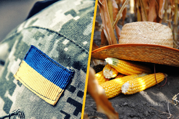 Криворізький ветеран розширює бізнес завдяки гранту на овочівництво 3