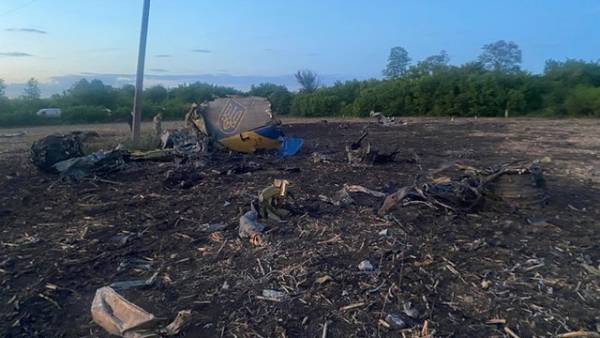 ДБР розкрило причину аварії Су-24М: збій системи управління спричинила птаха