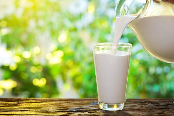 8 продуктів, що випереджають молоко за вмістом кальцію