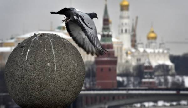 У Росії планують обрати більш як половину Держдуми за участю жителів ТОТ – експерт