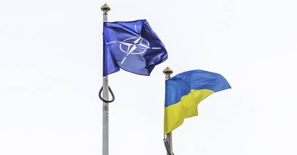 Військовий комітет НАТО ухвалить рішення щодо допомоги Україні в Данії