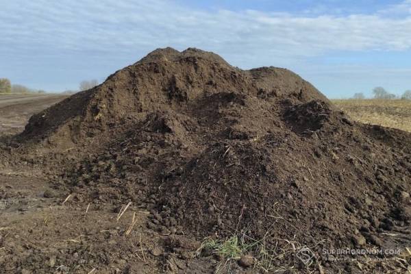 «Скіф» переходить на гній для скорочення витрат на мінеральні добрива