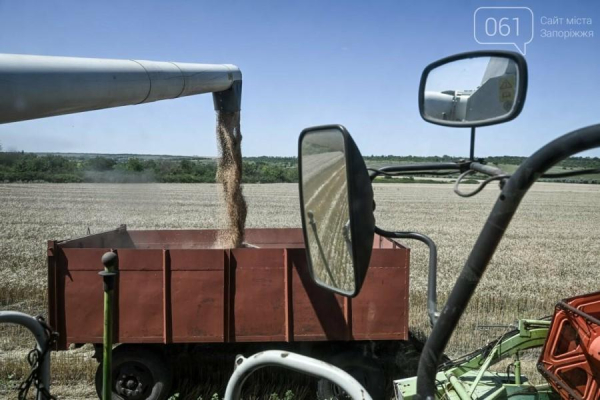 Через небезпеку обстрілів аграрії прикордонних областей уникають зберігання врожаю — КУРКУЛЬ 8