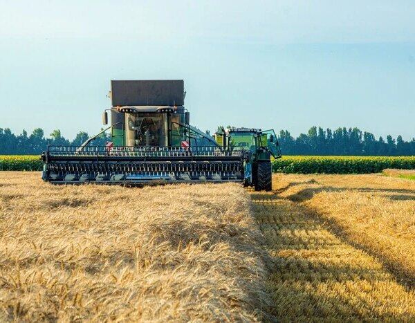 ЧАС НОВИН в Україні 25 Експорт українського зерна скоротився на дві третини