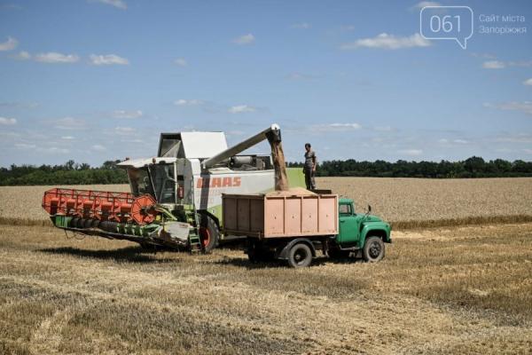 Через небезпеку обстрілів аграрії прикордонних областей уникають зберігання врожаю — КУРКУЛЬ 11
