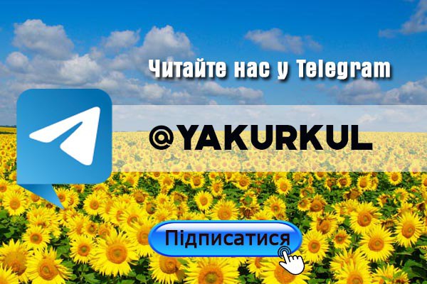 Темпи зростання цін на дизельне пальне уповільнилися — КУРКУЛЬ 3