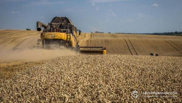 Ріпак та ячмінь на Львівщині перевищили торішні показники врожайності, пшениця втратила позиції
