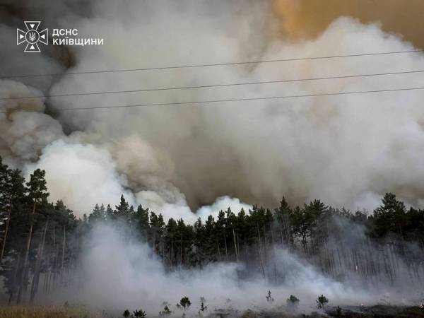 На Київщині гасять масштабну лісову пожежу залучивши авіацію та рятувальників з інших областей 7 На Київщині гасять масштабну лісову пожежу залучивши авіацію та рятувальників з інших областей 7