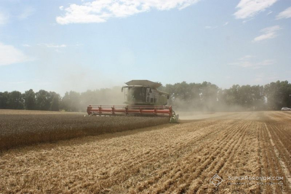 На Полтавщині зібрали 75% ранніх зернових, намолочено 1,23 мільйона тонн — SuperAgronom.com
