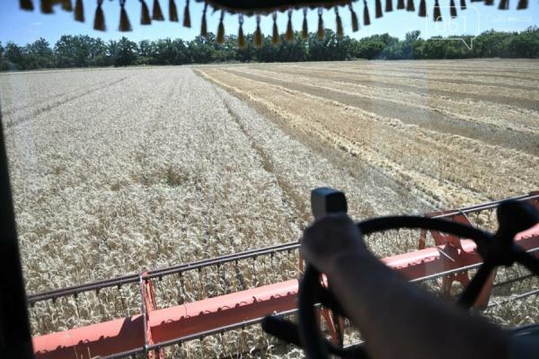 Через небезпеку обстрілів аграрії прикордонних областей уникають зберігання врожаю — КУРКУЛЬ 9