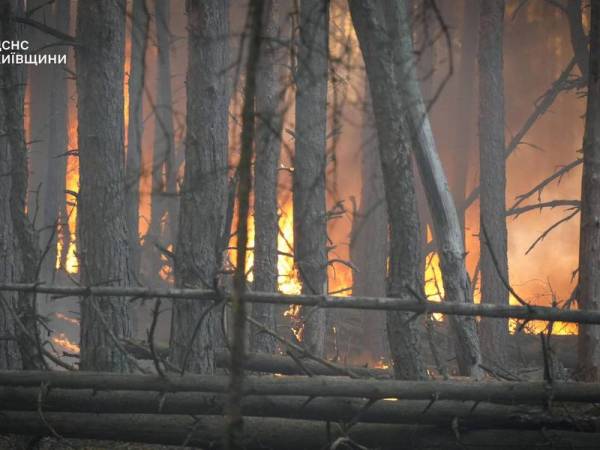 На Київщині гасять масштабну лісову пожежу залучивши авіацію та рятувальників з інших областей 9 На Київщині гасять масштабну лісову пожежу залучивши авіацію та рятувальників з інших областей 9