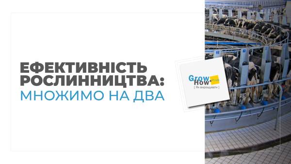 Рентабельне молочарство: собівартість молока та резерви зростання
