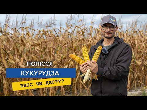 Рентабельне молочарство: собівартість молока та резерви зростання 10
