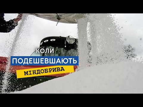 Українська свинина: прогнози ринкових тенденцій 6