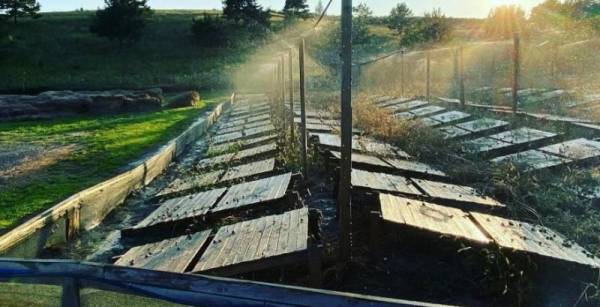 Jiffy Farm на Київщині втратила десятки тисяч євро через російську атаку