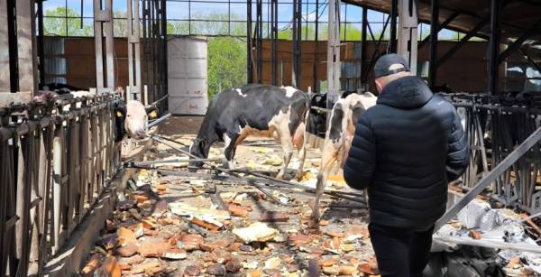 Уряд розглядає підвищення ПДВ на 1% для відшкодування бізнесу воєнних збитків 2
