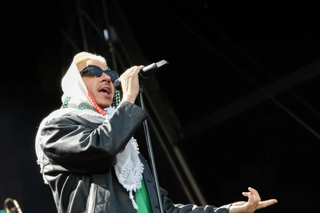Pink різко відповіла на критику її висловлювань щодо виступу Маклемора проти Ізраїлю 6