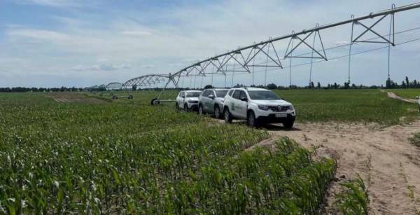 HarvEast оптимізував зрошення для малини та гібридизації