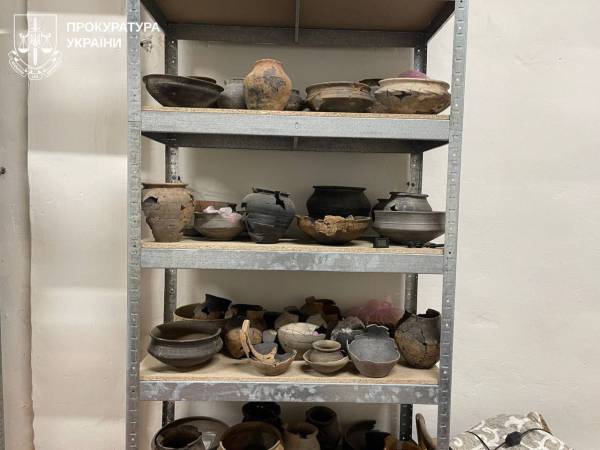 Пшениця на землях археологічної пам'ятки