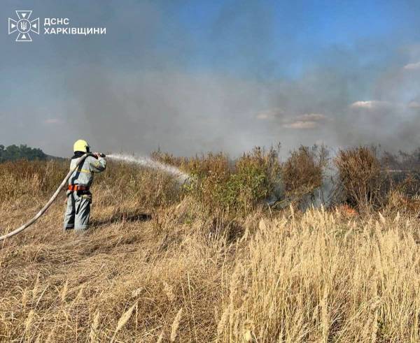 Рятувальники загасили 13 пожеж на Харківщині 6 Рятувальники загасили 13 пожеж на Харківщині 6
