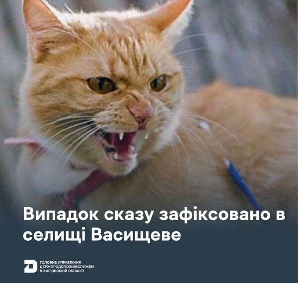 Сказ у кота зафіксували на Харківщині