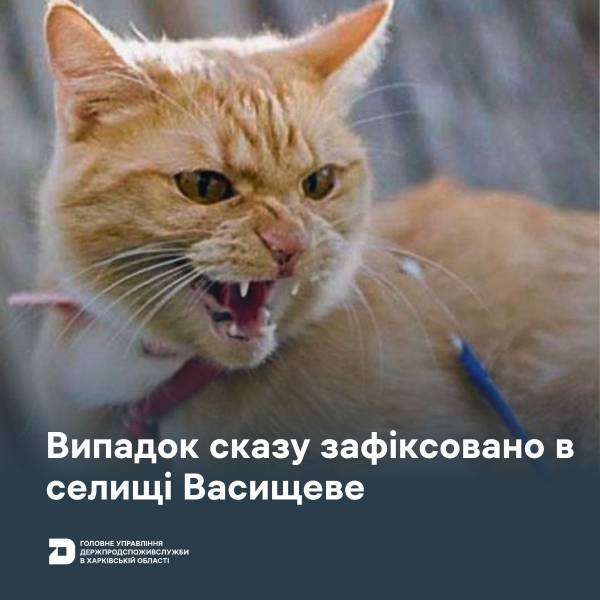 Сказ у кота зафіксували на Харківщині