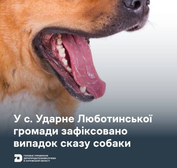 Люботинська громада: зафіксовано небезпечне захворювання у собаки