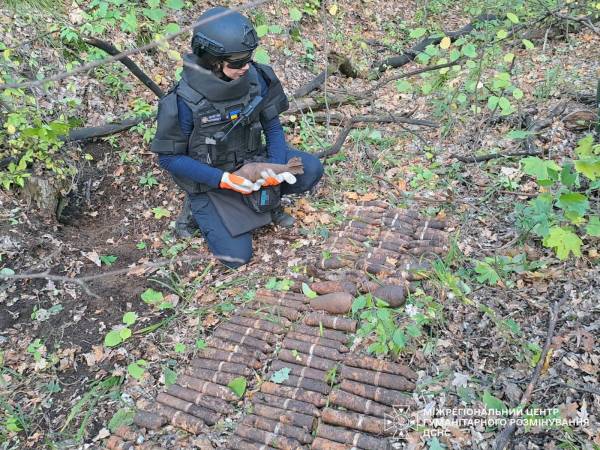 На Харківщині піротехніки знешкодили 97 боєприпасів: замість грибів — небезпечні знахідки 5 На Харківщині піротехніки знешкодили 97 боєприпасів: замість грибів — небезпечні знахідки 5