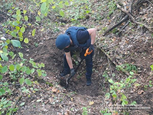 На Харківщині піротехніки знешкодили 97 боєприпасів: замість грибів — небезпечні знахідки